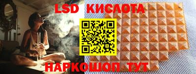 apvp Свободный