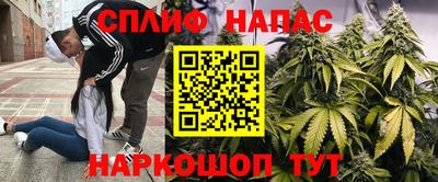 apvp Свободный