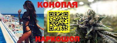 apvp Свободный