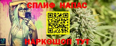 apvp Свободный