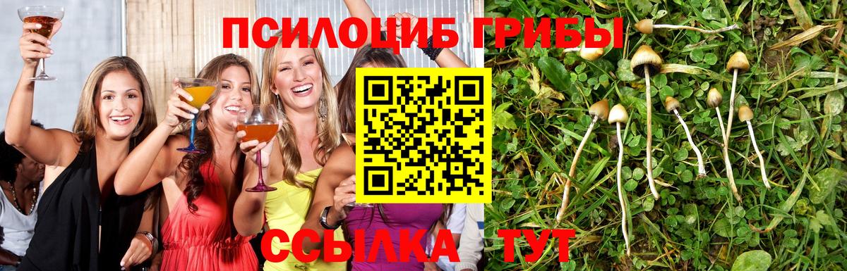 Псилоцибиновые грибы Magic Shrooms Самара